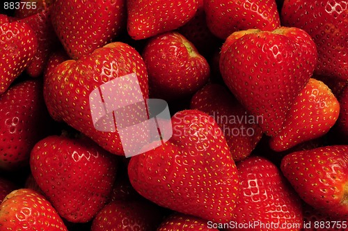 Image of Pile of red strawberries