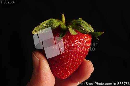 Image of Single strawberry held between two fingers