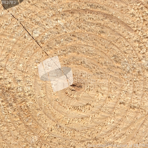 Image of Wood rings