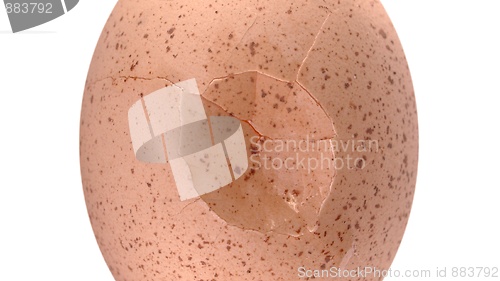 Image of Cracked egg