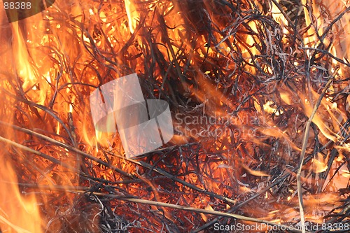 Image of Fire