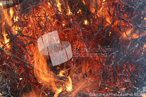 Image of Fire