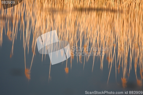 Image of Lakeside