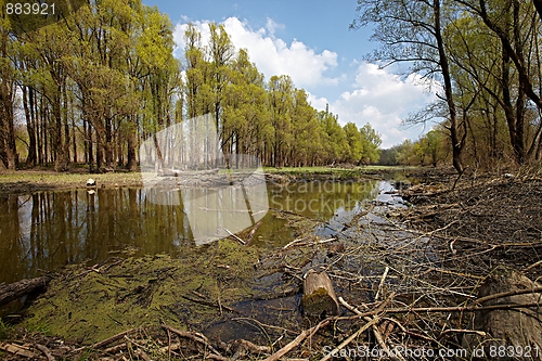 Image of Riverside
