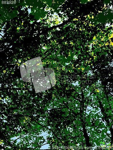 Image of forest green