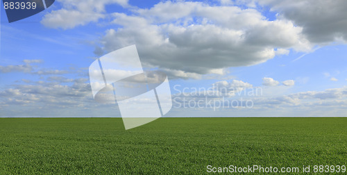 Image of Green field