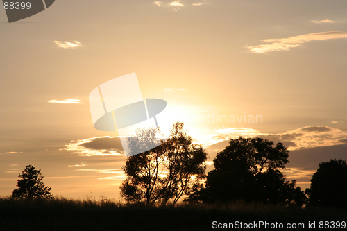 Image of Evening Sky