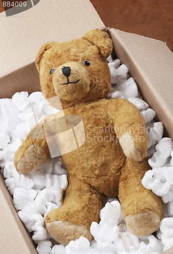 Image of Teddy bear transport