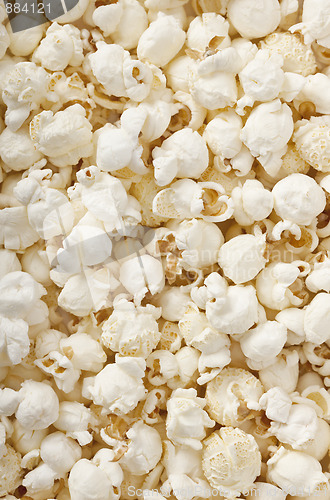 Image of Fresh Popcorn