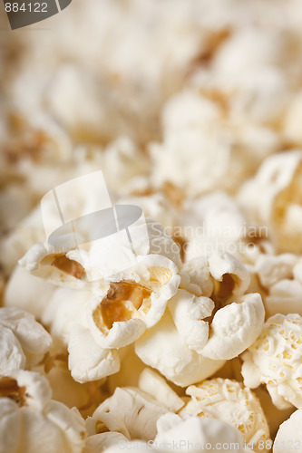 Image of Fresh Popcorn
