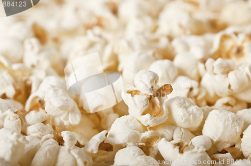 Image of Fresh Popcorn