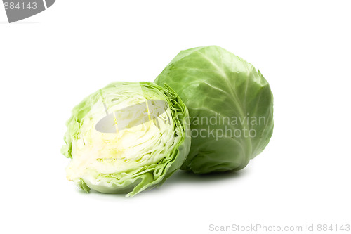 Image of green cabbage