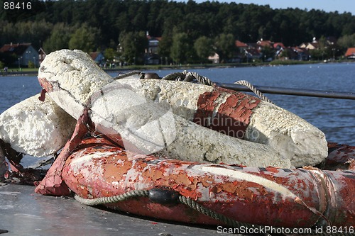 Image of Lifebuoy