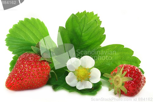 Image of Strawberries