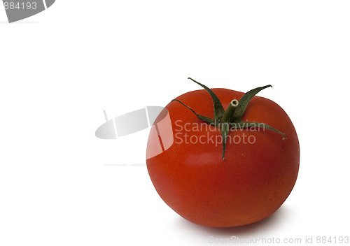 Image of Isolated tomato