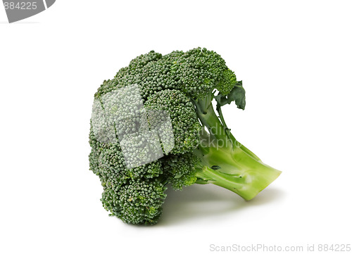 Image of Isolated broccoli