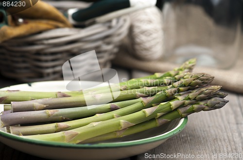 Image of Fresh Asparagus