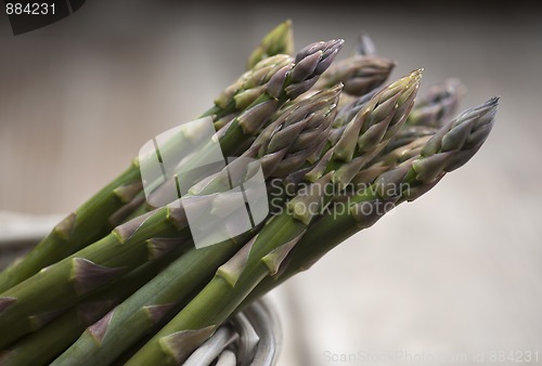 Image of Asparagus