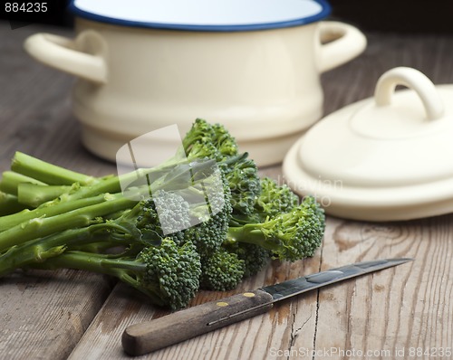 Image of Broccoli