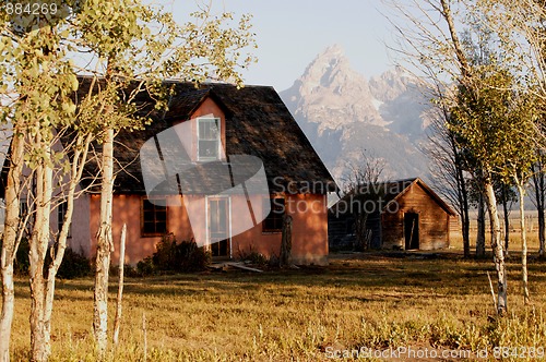 Image of Fresh Morning Light