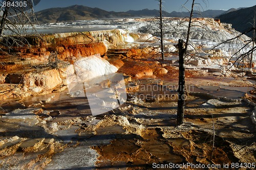 Image of Beauty Of Mammoth Springs