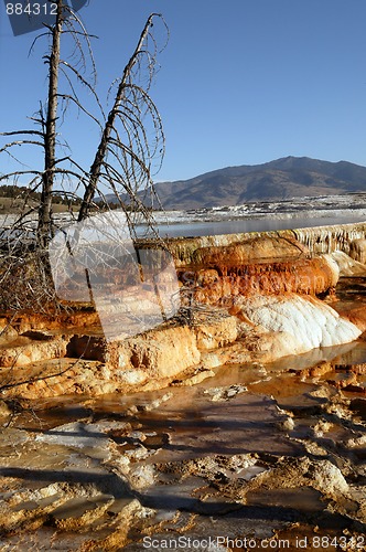 Image of Plendor Of Mammoth Springs