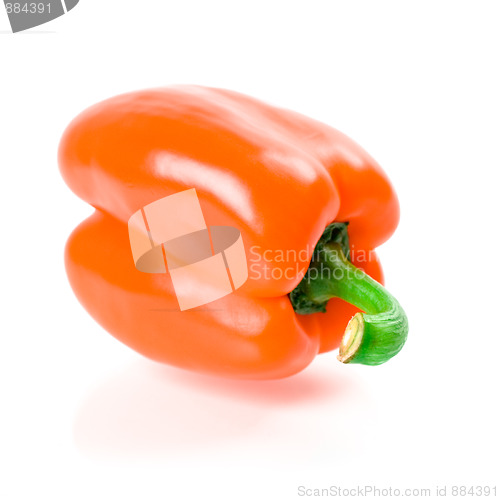 Image of orange bell pepper