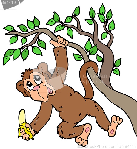 Image of Monkey with banana on tree