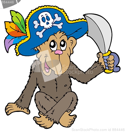 Image of Pirate monkey