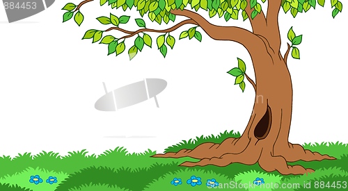 Image of Tree in grassy landscape