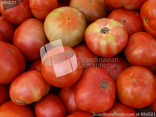 Image of Red tomatoes