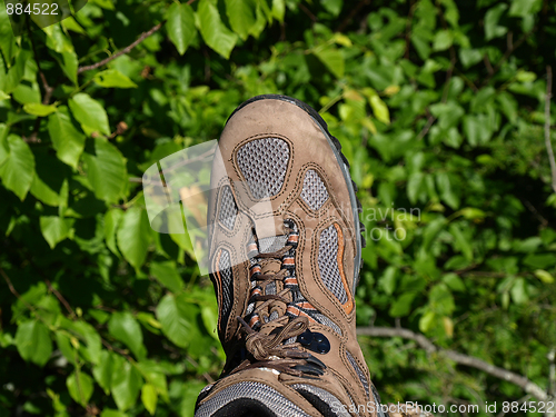 Image of One foot over the edge