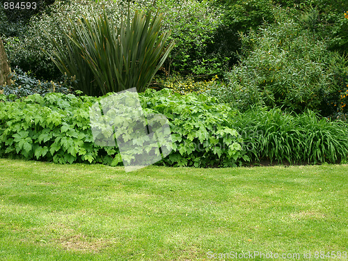Image of Greenery background