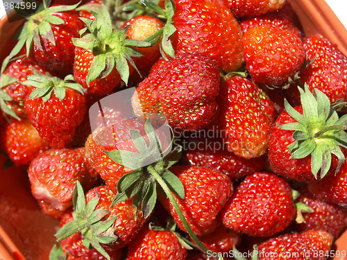 Image of Strawberries