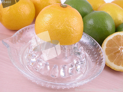 Image of lemons squeezer