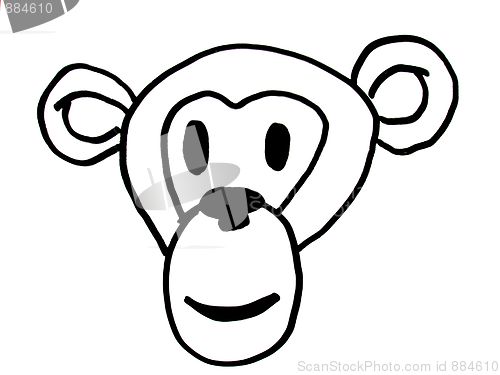 Image of monkey