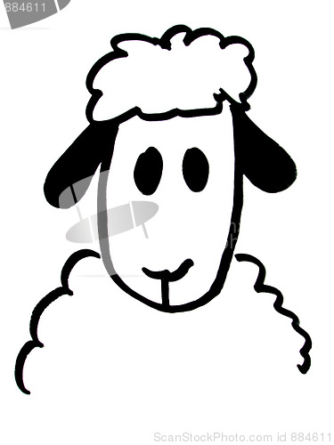 Image of sheep