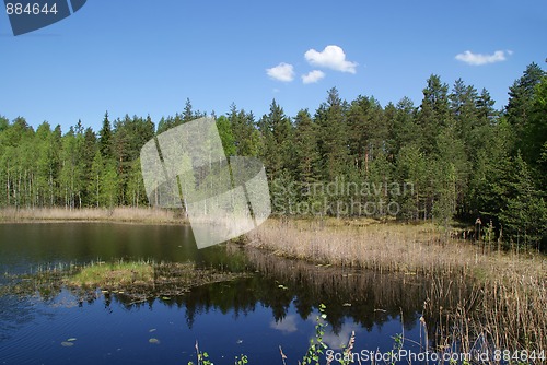 Image of Peaceful Marshland Lake Scenery in Finland