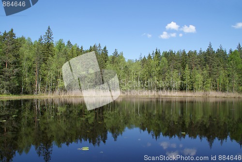 Image of Serene Lake Scenery in Finland