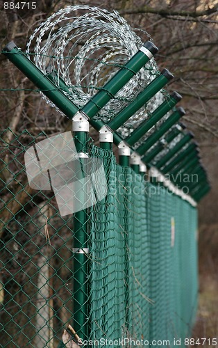 Image of green wire fence around trees
