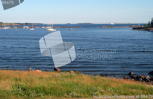 Image of Coast of Gulf of Finland