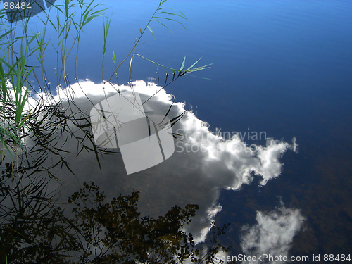 Image of Reflection of a cloud in water of wood lake