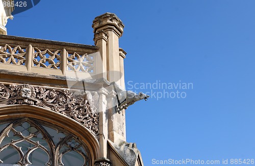 Image of Castle in Zamecke Lednice