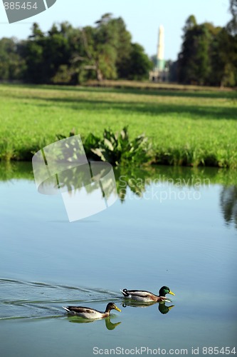 Image of Lake in park, castle in Zamecke Lednice