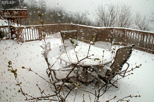 Image of Spring Snowfall on Lilac Buds