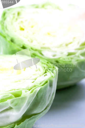 Image of cabbage