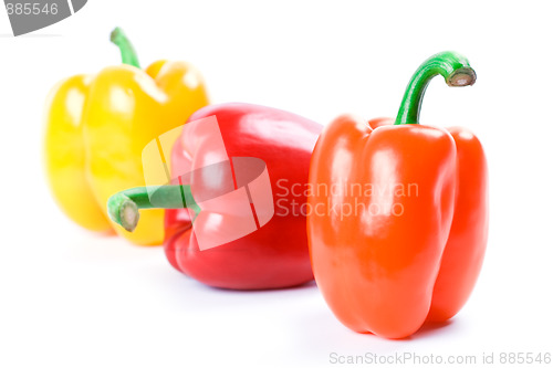 Image of three bell peppers