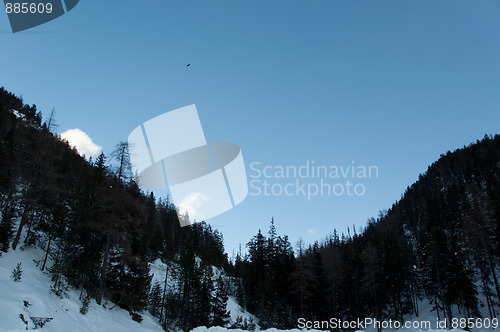 Image of Mountain scenario with trees and snow