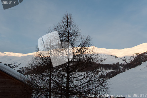 Image of Sunrise in snowy Italian alps