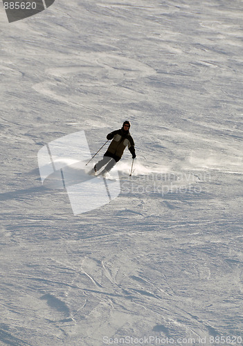 Image of Skier in powder snow